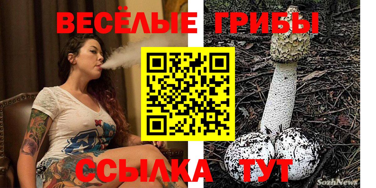 Галлюциногенные грибы прущие грибы Карпинск